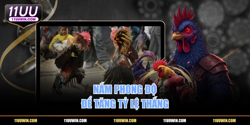 Nắm phong độ để tăng tỷ lệ thắng